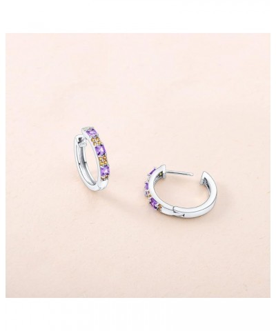 Sterling Silver Hoop Earrings for Women, Small Huggie Hypoallergenic Earrings for Girls Ladies, Sapphire Huggies Sterling Sil...