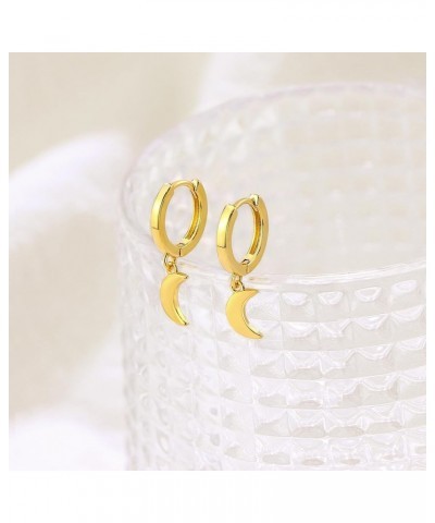 Hoop Earrings for Women - 14K Gold Plated Cubic Zirconia Moon Star Spike Lightning Evil Eye Dangle Huggie Drop Dangle Earring...