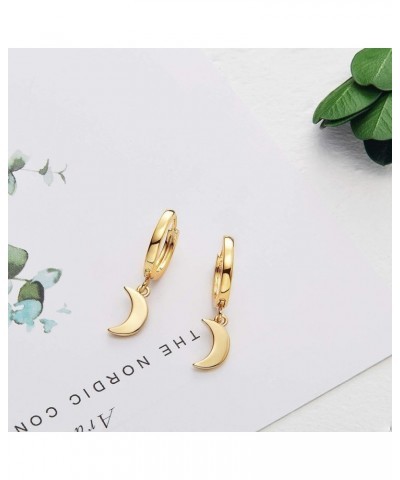 Hoop Earrings for Women - 14K Gold Plated Cubic Zirconia Moon Star Spike Lightning Evil Eye Dangle Huggie Drop Dangle Earring...