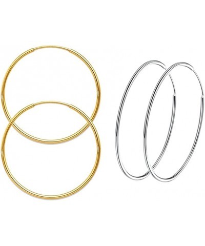 2Pairs Women's 14K Gold Plated Fashion Hoop Earrings,Round Endless Large Hoop Earrings Stainless Steel Hypoallergenic Earring...