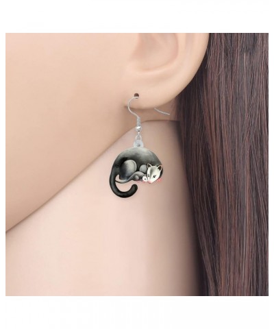 Cute Opossum Earrings Dangle Acrylic Hypoallergenic Jewelry Novelty Possum Gifts for Women Girls Rat Charms Decorations Mothe...