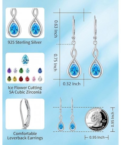 925 Sterling Silver February Birthstone Dangle Drop Leverback Earrings for Women Birthday Anniversary Earrings Jewelry for Wo...