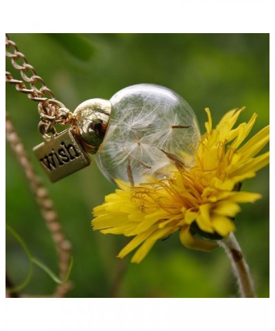 Make a Wish Real Flowers 925 Sterling Silver Necklace Dandelion Necklace Real Dandelion Seed Inlaying Crystal Ball Necklace D...