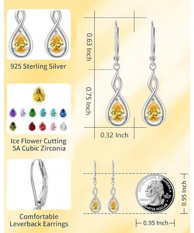 925 Sterling Silver February Birthstone Dangle Drop Leverback Earrings for Women Birthday Anniversary Earrings Jewelry for Wo...