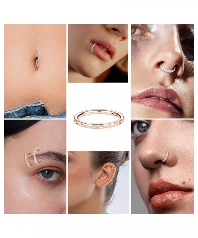 Daith Jewelry Conch Piercing Jewelry 16G Hoop 316L Surgical Steel 8mm 10mm Hinged Nose Rings Clicker Earring for Women Earrin...