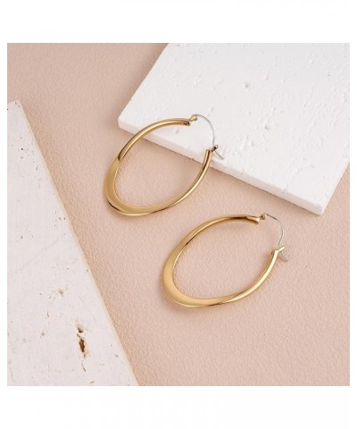 Hoop Earrings for Women, S925 Sterling Silver Post Hypoallergenic Earrings 14K Real Gold Plated Twisted Hoops Earrings for Wo...