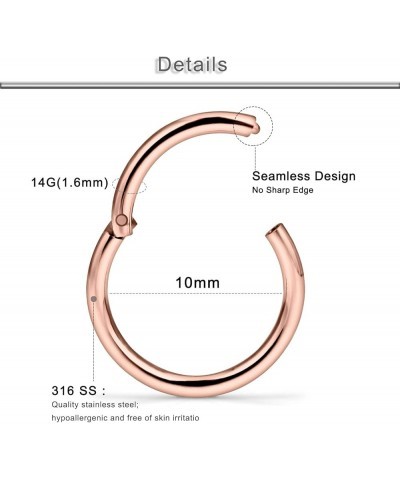 18g-16g-14g Surgical Steel Hinged Segment Hoop for Nose Septum Cartilage Helix Tragus Conch Rook Daith Lobe 6mm-8mm-10mm-12mm...