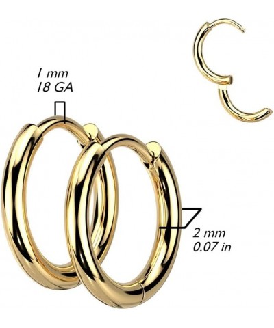 18GA 316L Stainless Steel 2mm Thick Hinged Round Hoop Earrings, Sold as a Pair 10mm Diameter Silver Tone $10.92 Earrings