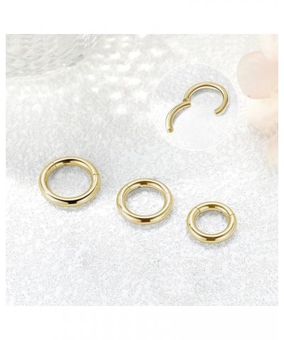 4G 6G 8G 10G 12G Clicker Rings 316L Surgical Steel Hinged Segment Hoop for Septum and Cartilage Earlobe Piercings, Diameter 1...